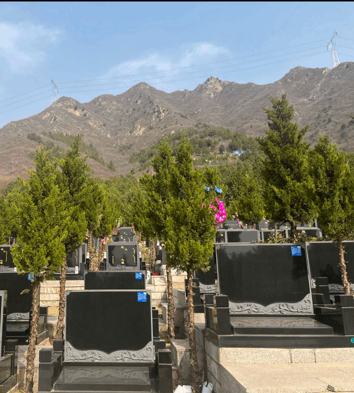 平区景仰园艺术立碑树葬墓型8号