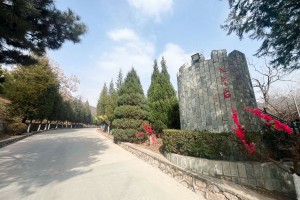 选墓小助手秦先生对景仰园的评价