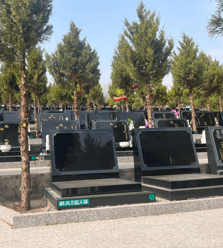 北京市昌平区景仰园传统卧碑树葬墓型3号