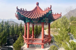 选墓小助手高女士对景仰园的评价