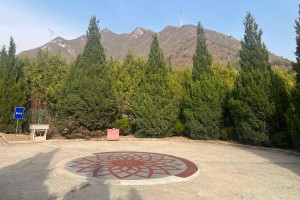 选墓小助手高女士对景仰园的评价
