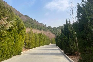 北京市昌平区景仰园园区道路图
