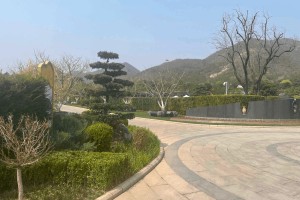 选墓小助手黄先生对天寿陵园的评价