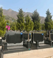 平区景仰园艺术立碑树葬墓型8号