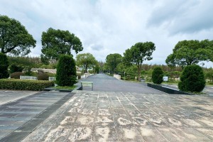 上海市浦东区汇龙园园区环境图