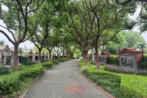 上海市青浦区福寿园园区道路图