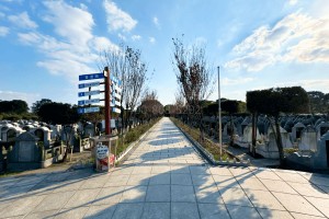 上海市金山区松隐山庄墓区环境图