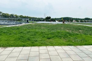 上海市松江区华夏公墓墓区环境图