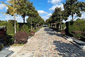 上海市松江区浦南陵园园区环境图