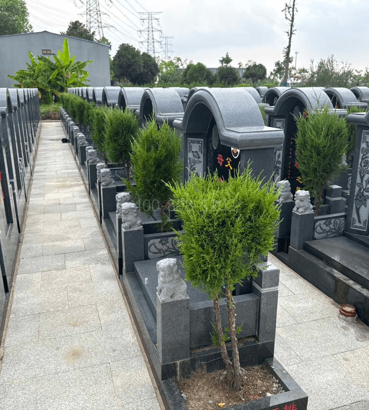 上海市松江区华夏公墓传统立碑墓型7号树葬