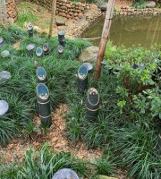 杭州市余杭区径山竹茶园生态葬墓型1号