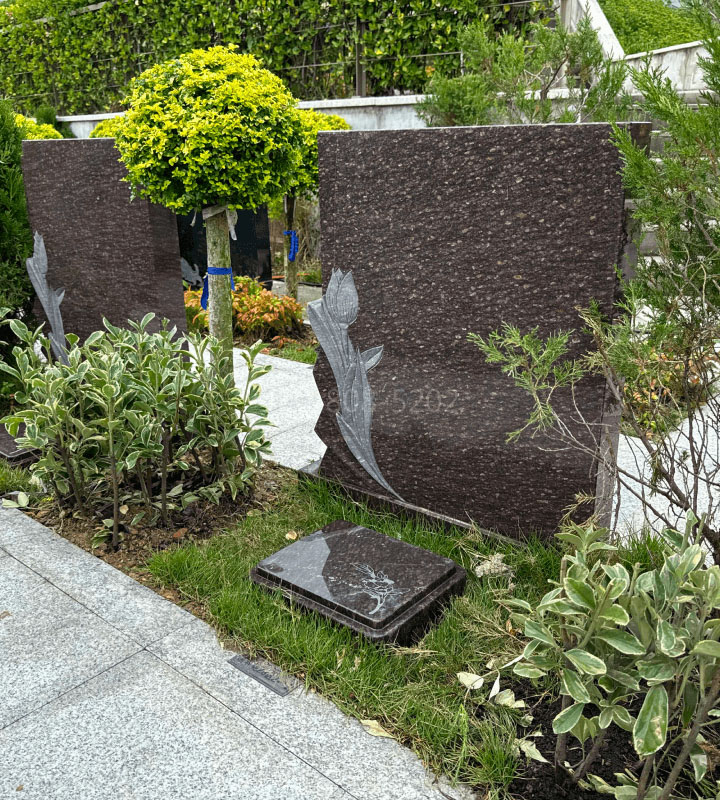 杭州市临安区天竹园传统立碑墓型3号树葬