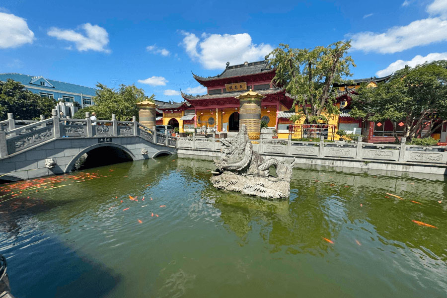 上海市浦东区川沙寺园区锦鲤图