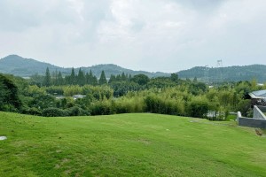 杭州市余杭区径山竹茶园园区环境图