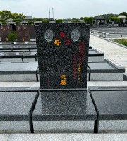 上海市松江区华夏公墓传统立碑墓型2号