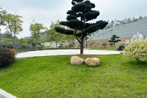 杭州市临安区天竹园园区环境图