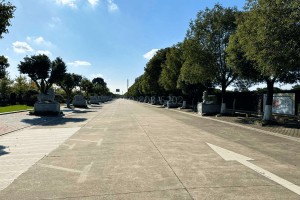 上海市松江区浦南陵园园区道路图