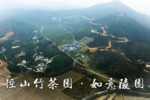 径山竹茶园宣传片二