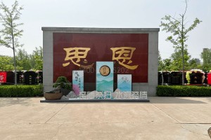 北京市大兴区天堂公墓墓区环境图