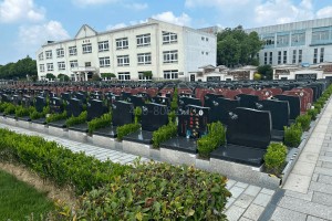 上海市闵行区颛桥寝园公墓墓区环境图