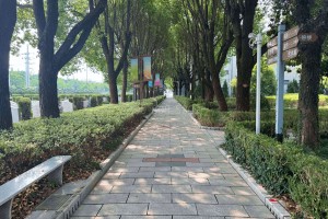 上海市闵行区颛桥寝园公墓墓区环境图