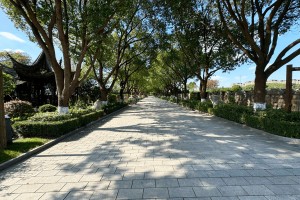 上海市金山区枫泾公墓园区环境图