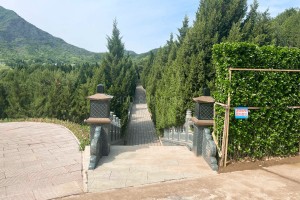 北京市海淀区温泉墓园园区环境图