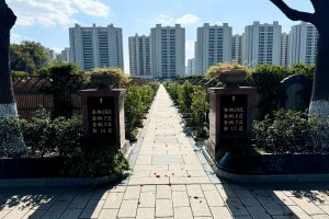 上海市金山区枫泾公墓墓区环境图