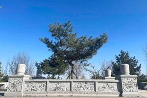 北京市海淀区长安园公墓精美石雕图