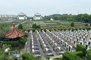 上海市松江区天马塔园墓区环境图