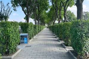 上海市浦东区长桥山庄园区环境图