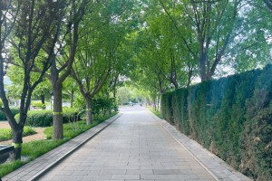 北京市海淀区万安公墓园区环境图