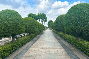 上海市宝山区宝罗瞑园园区环境图