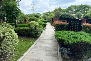 上海市浦东区永安公墓墓区环境图