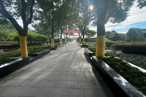 上海市嘉定区白鹤憩园园区环境图