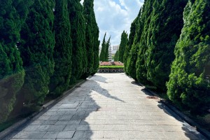 上海市浦东区界龙古园园区环境图