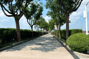 上海市青浦区淀山湖归园园区环境图