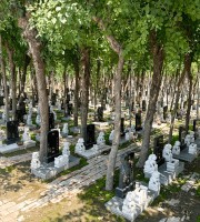 天津西青区万寿园公墓传统立碑墓型7号