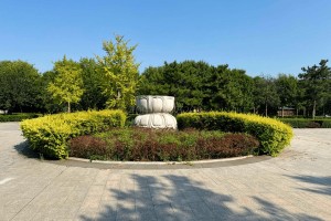 选墓小助手冯女生对玉佛寺寝宫的评价
