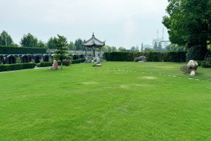 上海市青浦区卫家角息园墓区环境图