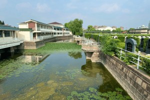 上海市青浦区卫家角息园园区湖景图