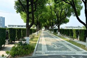 上海市青浦区卫家角息园墓区环境图