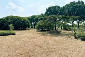 上海市青浦区淀山湖归园园区环境图