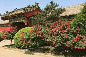 天津市宁河县永定塔陵园区建筑图
