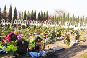 郑州市登封市嵩山公墓墓区环境图