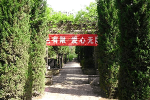 西安市雁塔区三兆公墓墓区环境图