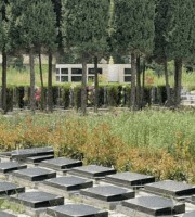 西安市高陵区奉正塬公墓传统卧碑墓型1号