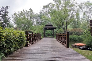 选墓小助手冯女生对河南福寿园的评价