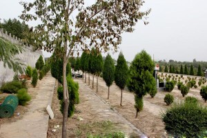 郑州市荥阳市北邙陵园墓区环境图