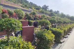 郑州市新密市凤凰山人文纪念园墓区环境图